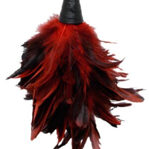 Clean and polish all the right spots with this Frisky Feather Duster. Let the soft