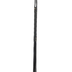 this whip will have your lover obeying your every command.