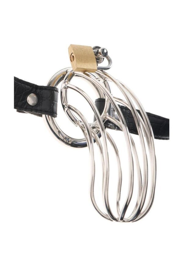 Lock up your subjects most misbehaved member with The Prisoner. Made from high-quality metal and closed with a secure lock