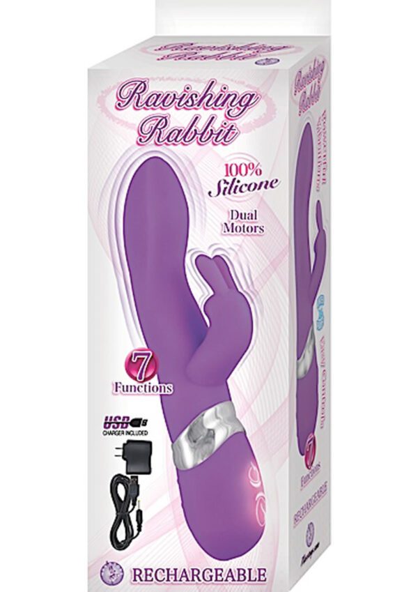 Controller - ABS- Length: 8.25