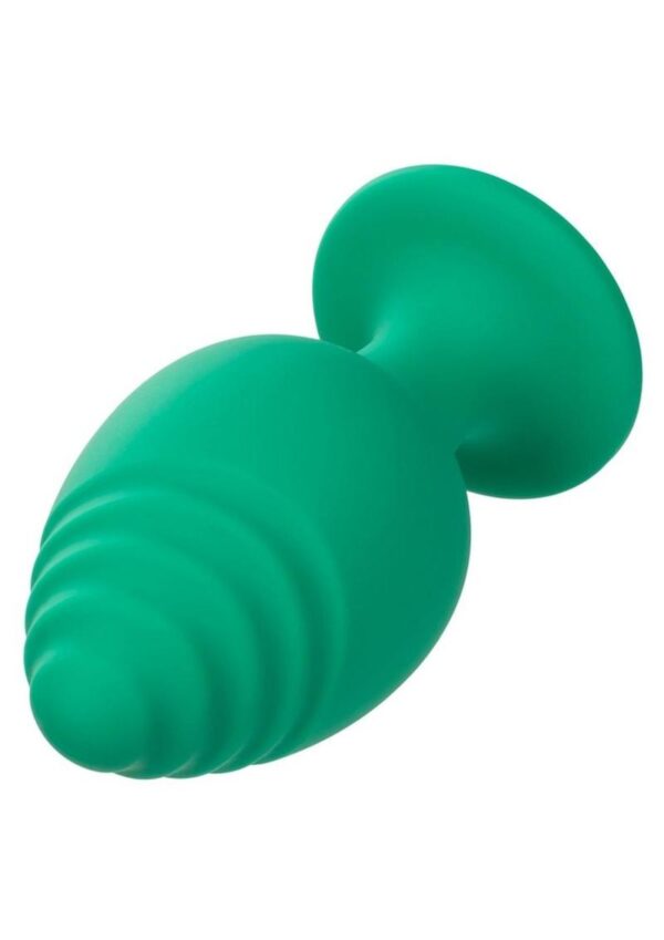 these butt plugs will add some excitement to any playtime.  Each package includes two individual sizes (large probe is 3.5x2 inches