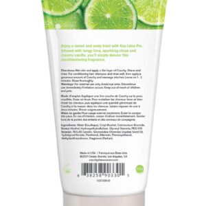 Enjoy a sweet and zesty treat with key lime pie. Infused with tangy lime
