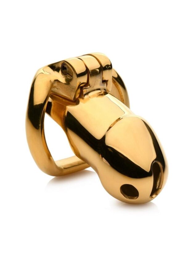 This Gold-Plated Locking Chastity Cage is the perfect gift for your special submissive or lover. Keep them locked up