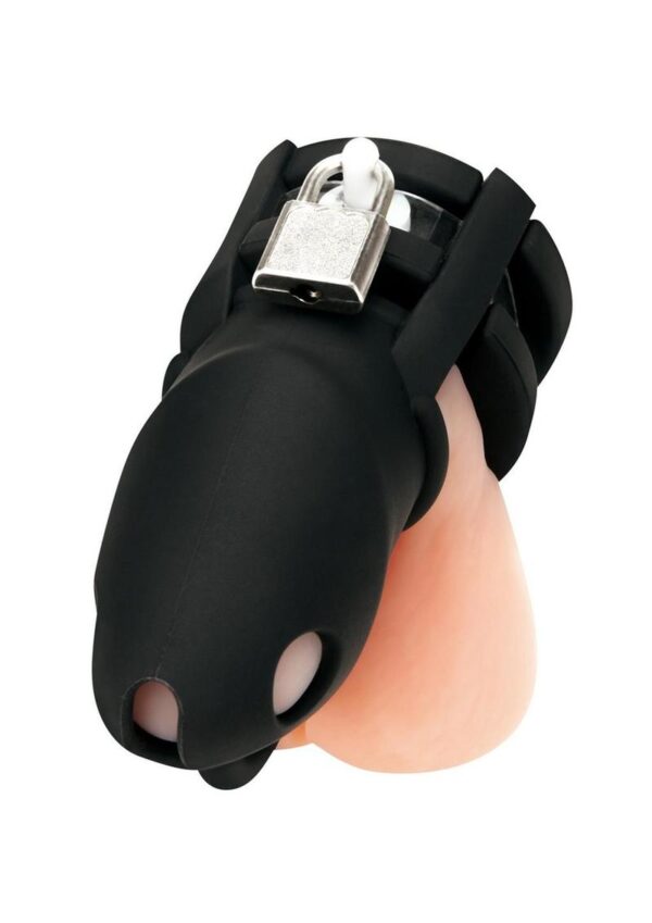 The Blue Line Silicone Small 2 Cock Cage with Ball Divider is set to be a thrilling addition to your intimate adventures. Crafted from body-safe silicone