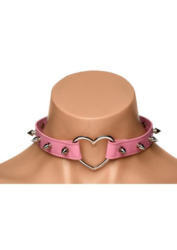 and body harnesses