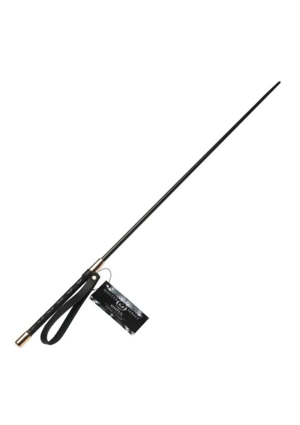 this cane offers an electrifyingly sharp sensation due to its flexible