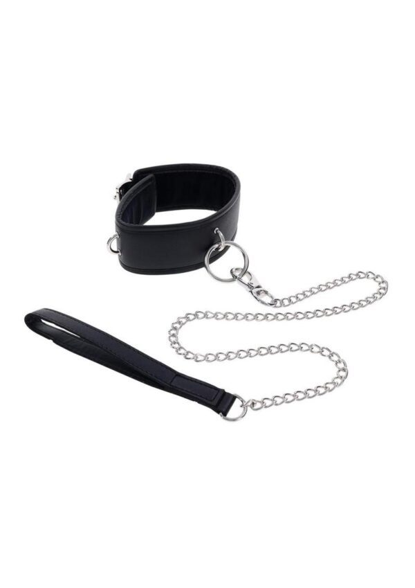Command attention and obedience with the Edge Collar and Leash