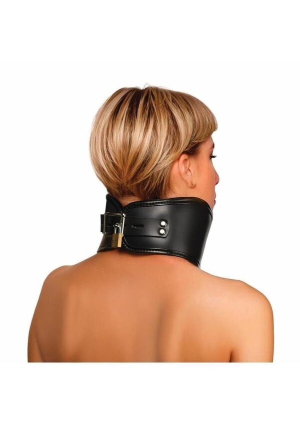 while a layer of soft padding offers enhanced comfort for prolonged wear. Vegan leather construction gives it an authentic look and makes maintenance a breeze. Use the D-ring at the front to attach a leash or other accessories