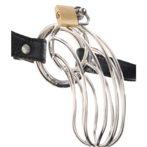 Lock up your subjects most misbehaved member with The Prisoner. Made from high-quality metal and closed with a secure lock