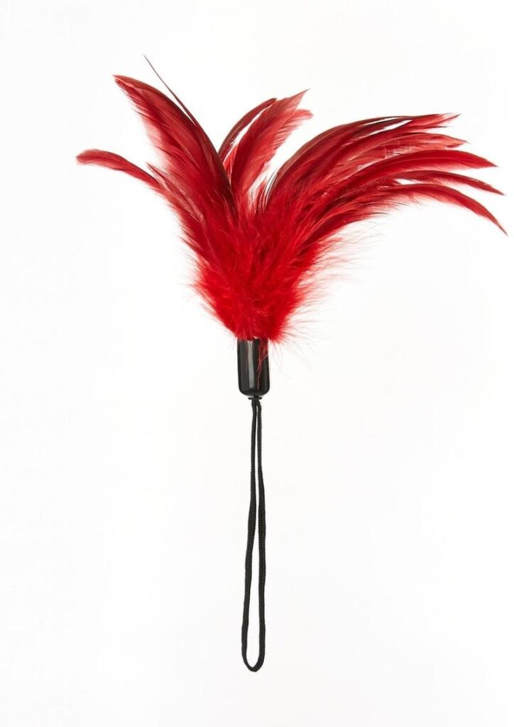 Pleasure feather tickler. Designed to caress with a soft stimulation. Tickle someone`s fancy with these fun pleasure feathers. Make long lingering strokes on you lover`s skin. Following the contours of their body