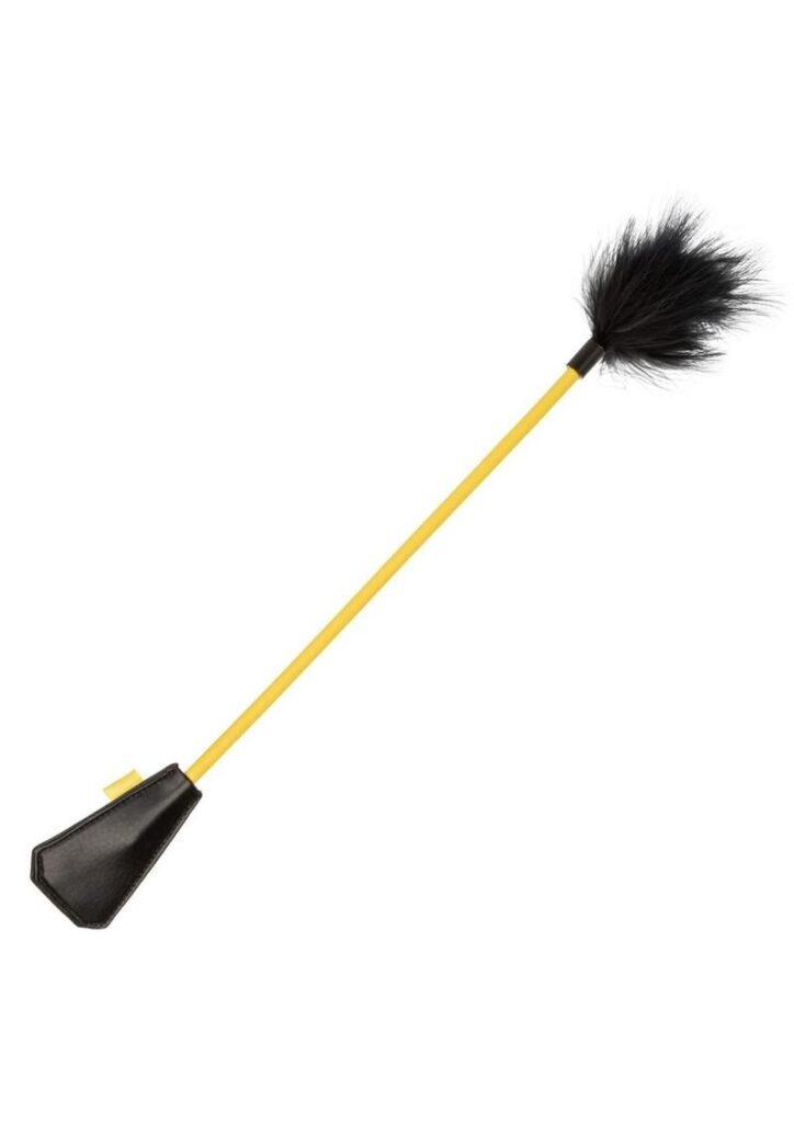 Dual ended crop and tickler. Sturdy crop with tickling feather on the other end.