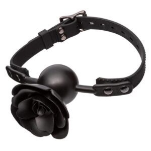 Introducing the Forbiddenandtrade; Removable Rose Gag