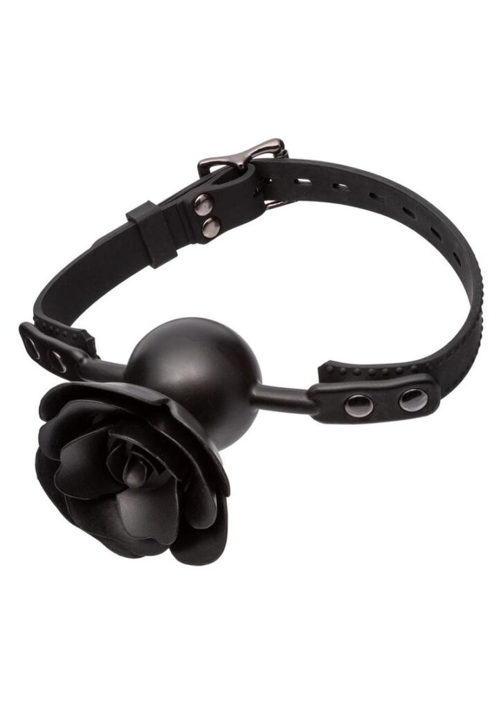 Introducing the Forbiddenandtrade; Removable Rose Gag