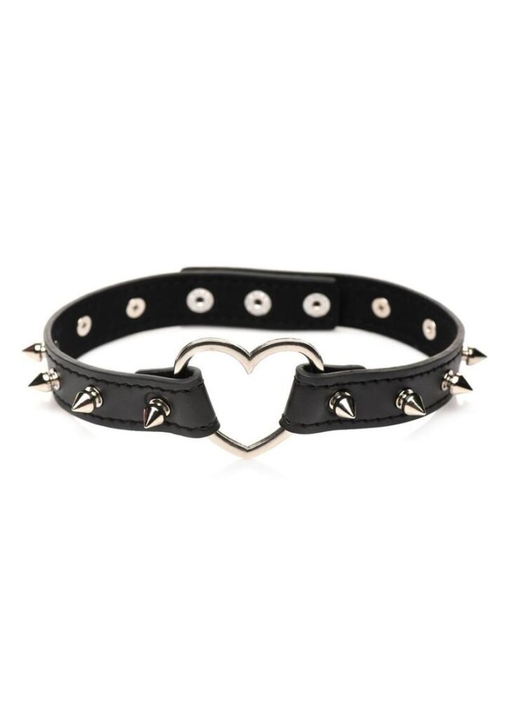 Flag your kinky side or use this as an edgy fashion accessory! This spiked collar snakes any neck look great