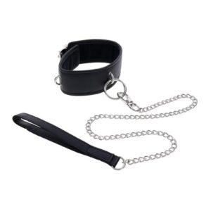 Command attention and obedience with the Edge Collar and Leash